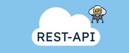 Rest API